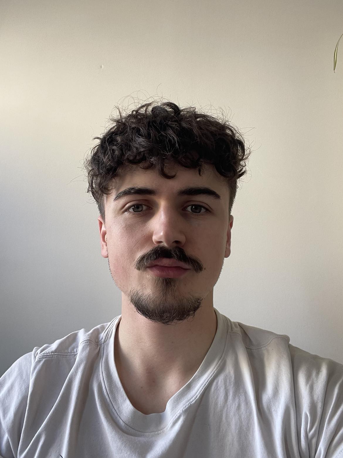 Auteur de la saga Les Triplés